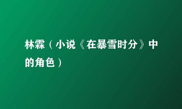 林霖（小说《在暴雪时分》中的角色）