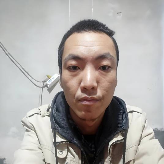 高氏大飞