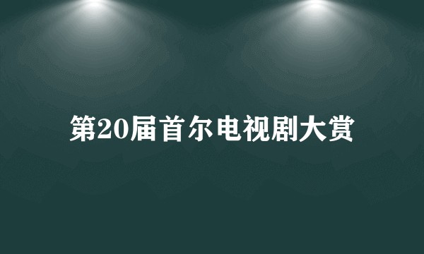 第20届首尔电视剧大赏