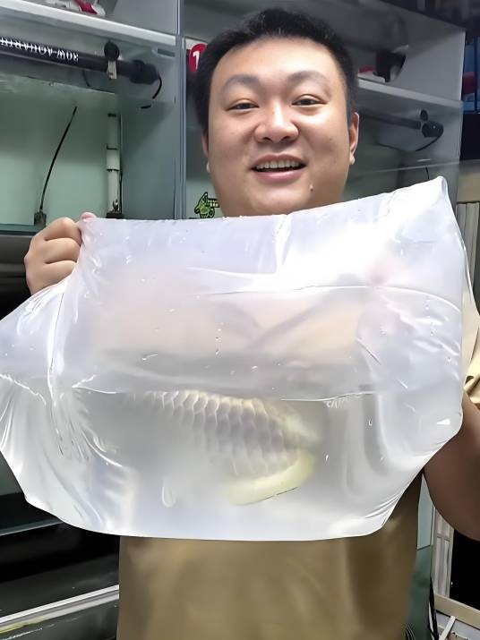 龍鱼大世界