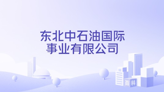 东北中石油国际事业有限公司