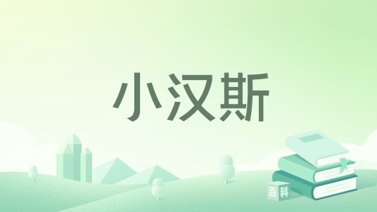 小汉斯（2006年心灵工坊出版的图书）