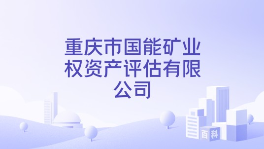 重庆市国能矿业权资产评估有限公司