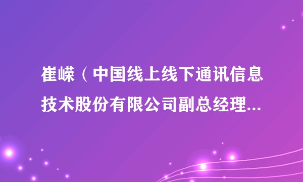 崔嵘（中国线上线下通讯信息技术股份有限公司副总经理、技术总监）