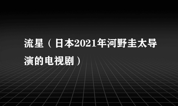 流星（日本2021年河野圭太导演的电视剧）
