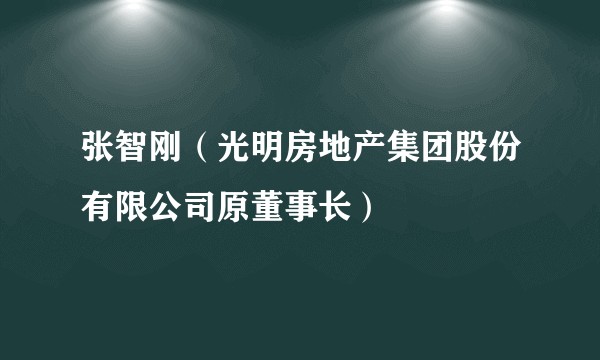 张智刚（光明房地产集团股份有限公司原董事长）