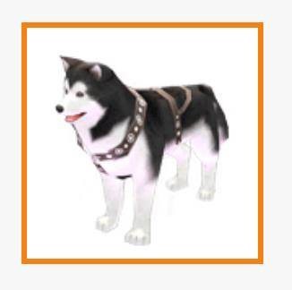 爱斯基摩犬（游戏《洛奇》中的宠物）