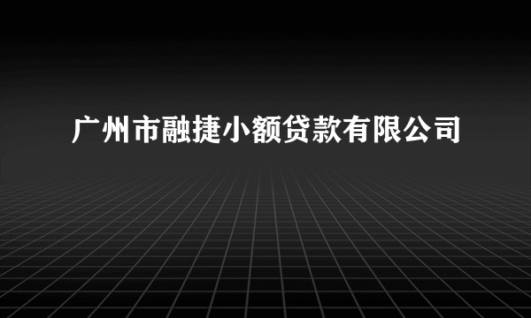 广州市融捷小额贷款有限公司