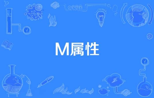 M属性