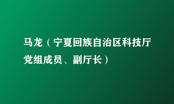 马龙（宁夏回族自治区科技厅党组成员、副厅长）