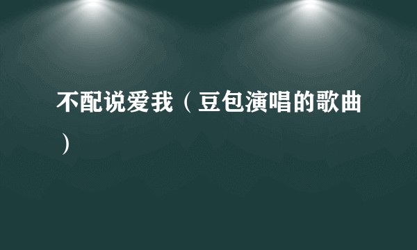 不配说爱我（豆包演唱的歌曲）