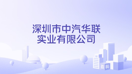 深圳市中汽华联实业有限公司
