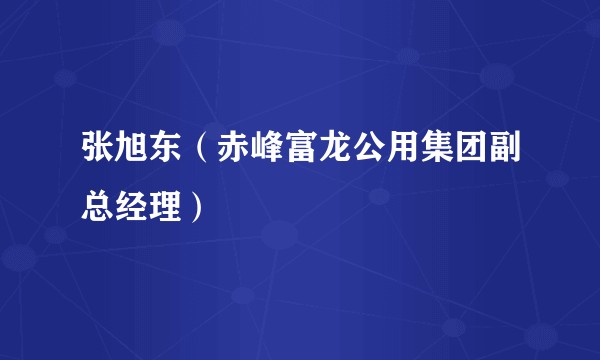 张旭东（赤峰富龙公用集团副总经理）