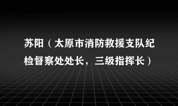 苏阳（太原市消防救援支队纪检督察处处长，三级指挥长）