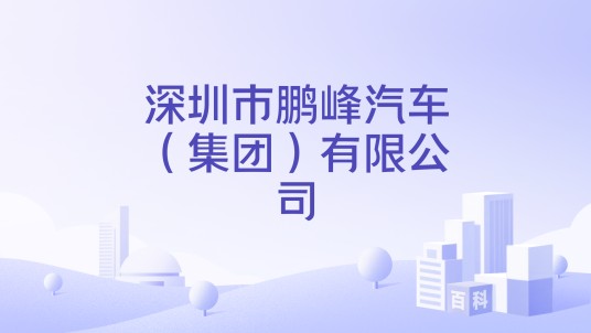 深圳市鹏峰汽车（集团）有限公司