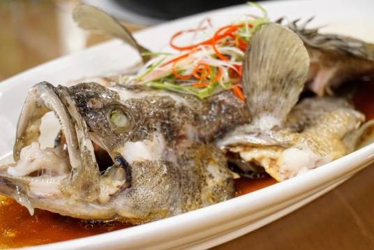 清蒸斑鱼