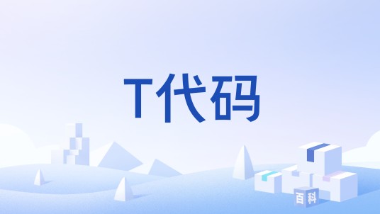 T代码