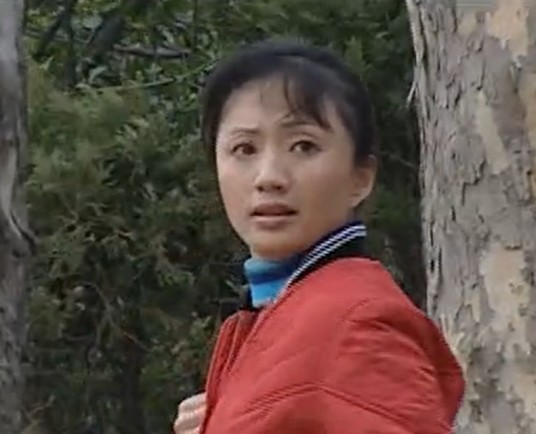 杜惠（爱情剧《情归》中的角色）