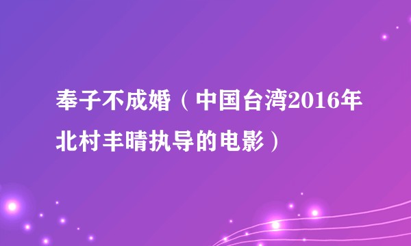 奉子不成婚（中国台湾2016年北村丰晴执导的电影）
