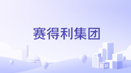 赛得利集团