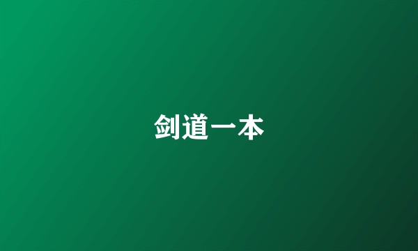 剑道一本