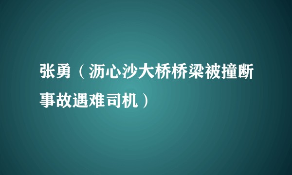 张勇（沥心沙大桥桥梁被撞断事故遇难司机）