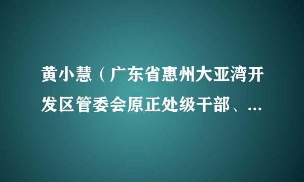 黄小慧（广东省惠州大亚湾开发区管委会原正处级干部、党组成员）