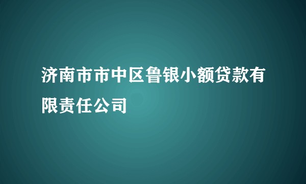 济南市市中区鲁银小额贷款有限责任公司
