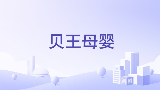 贝王母婴