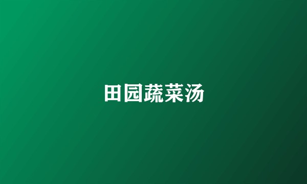 田园蔬菜汤