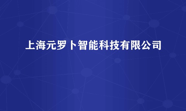上海元罗卜智能科技有限公司