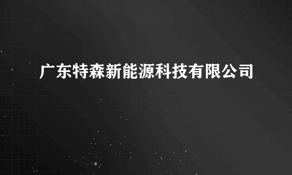 广东特森新能源科技有限公司