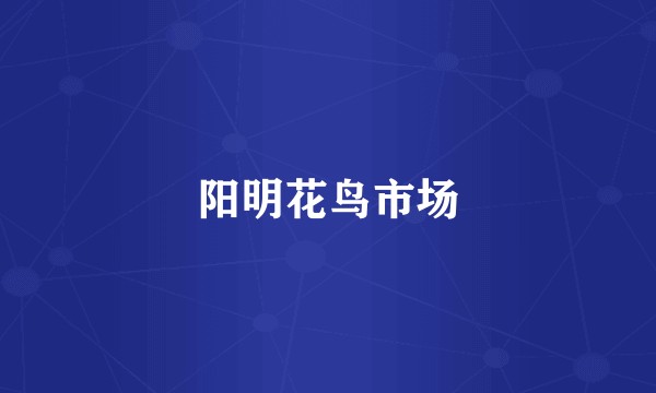 阳明花鸟市场