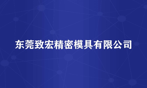 东莞致宏精密模具有限公司