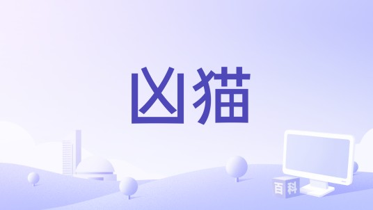 凶猫（1973年冯斯·罗德麦克斯执导的电影）