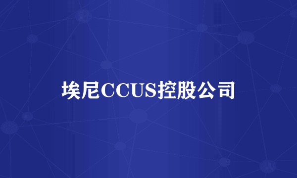 埃尼CCUS控股公司
