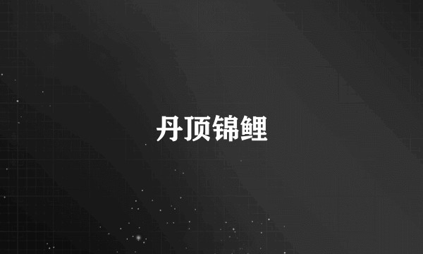 丹顶锦鲤