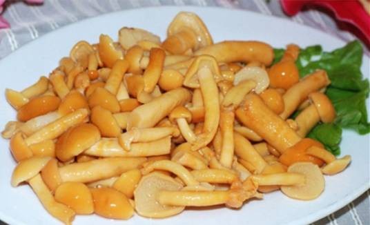 广灵滑子菇