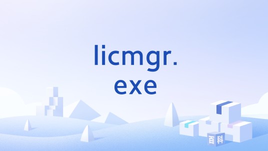 licmgr.exe