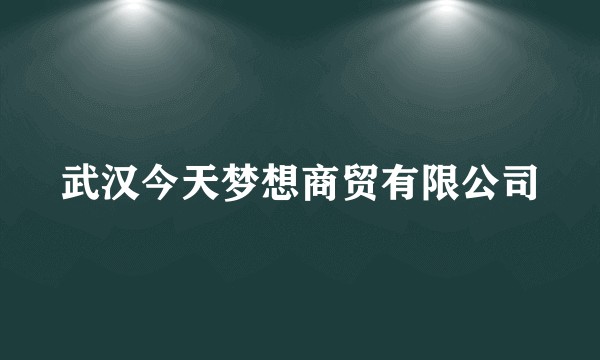 武汉今天梦想商贸有限公司