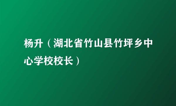 杨升(湖北省竹山县竹坪乡中心学校校长)
