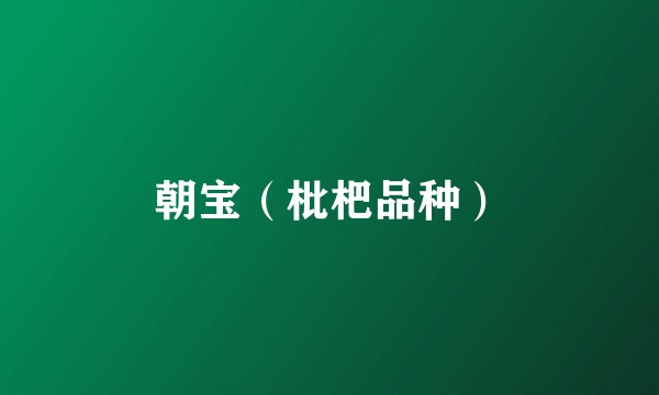 朝宝（枇杷品种）