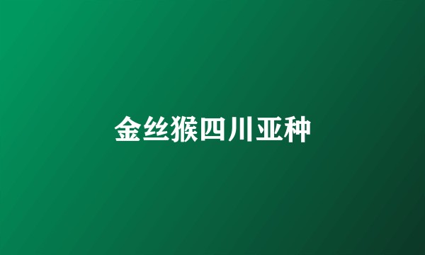 金丝猴四川亚种