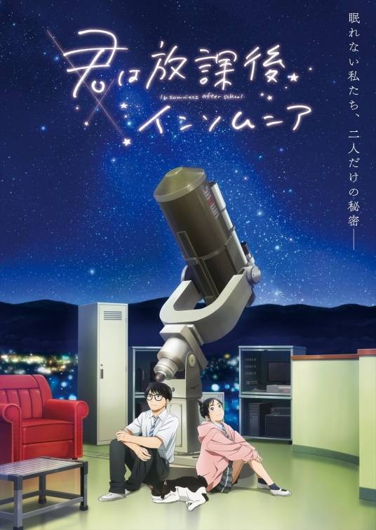 放学后失眠的你（LIDENFILMS改编的电视动画作品）