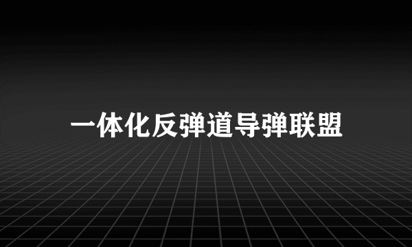 一体化反弹道导弹联盟