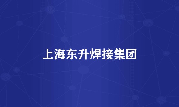 上海东升焊接集团