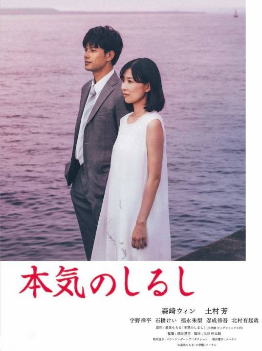 真心的符号（日本2019年深田晃司执导的电视剧）