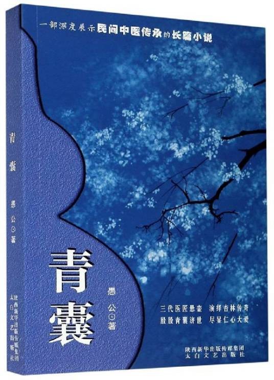 青囊（太白文艺出版社出版图书）