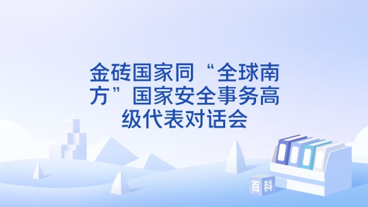 金砖国家同“全球南方”国家安全事务高级代表对话会