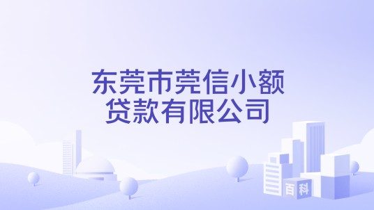 东莞市莞信小额贷款有限公司